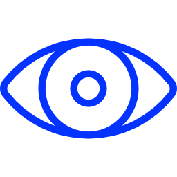 vision